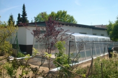 800x0_1_1784_IMG_0880